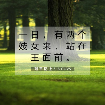 Picture 07 - 列 王 记 上 3:16 CUVS - 一 日 ， 有 两 个 妓 女 来 ， 站 在 - Bible Verse Picture