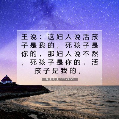 Picture 07 - 列 王 记 上 3:23 CUVS - 王 说 ： 这 妇 人 说 活 孩 子 是 我 - Bible Verse Picture
