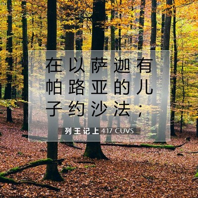 Picture 07 - 列 王 记 上 4:17 CUVS - 在 以 萨 迦 有 帕 路 亚 的 儿 子 约 - Bible Verse Picture