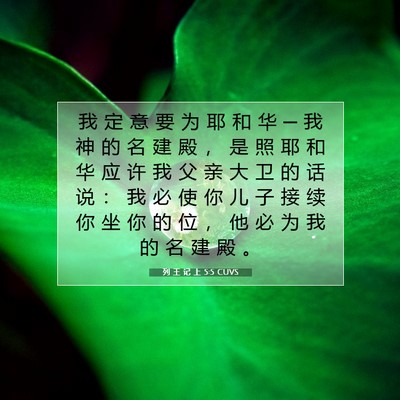 Picture 07 - 列 王 记 上 5:5 CUVS - 我 定 意 要 为 耶 和 华 ─ 我 神 的 - Bible Verse Picture