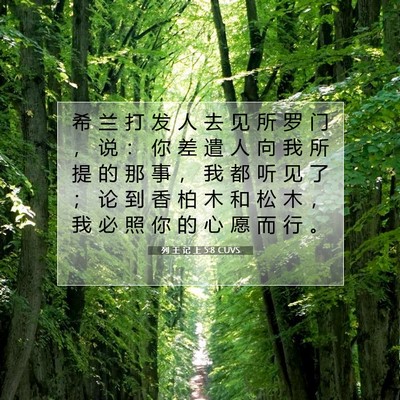 Picture 07 - 列 王 记 上 5:8 CUVS - 希 兰 打 发 人 去 见 所 罗 门 ， 说 - Bible Verse Picture