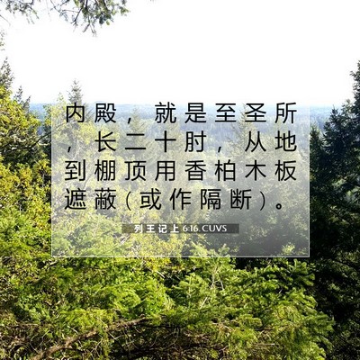 Picture 07 - 列 王 记 上 6:16 CUVS - 内 殿 ， 就 是 至 圣 所 ， 长 二 十 - Bible Verse Picture