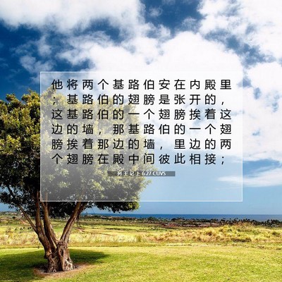 Picture 07 - 列 王 记 上 6:27 CUVS - 他 将 两 个 基 路 伯 安 在 内 殿 里 - Bible Verse Picture