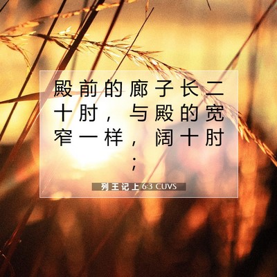 Picture 07 - 列 王 记 上 6:3 CUVS - 殿 前 的 廊 子 长 二 十 肘 ， 与 殿 - Bible Verse Picture