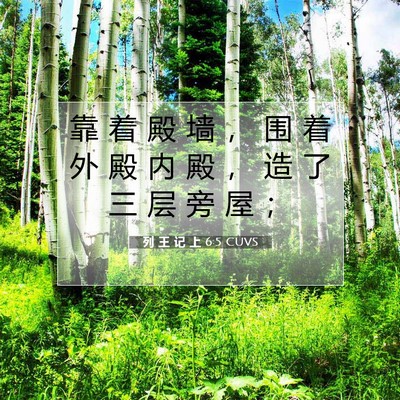 Picture 07 - 列 王 记 上 6:5 CUVS - 靠 着 殿 墙 ， 围 着 外 殿 内 殿 ， - Bible Verse Picture