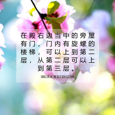 Picture 07 - 列 王 记 上 6:8 CUVS - 在 殿 右 边 当 中 的 旁 屋 有 门 ， - Bible Verse Picture