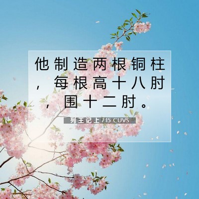 Picture 07 - 列 王 记 上 7:15 CUVS - 他 制 造 两 根 铜 柱 ， 每 根 高 十 - Bible Verse Picture