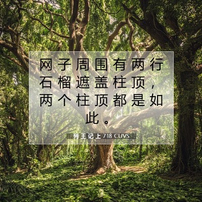 Picture 07 - 列 王 记 上 7:18 CUVS - 网 子 周 围 有 两 行 石 榴 遮 盖 柱 - Bible Verse Picture