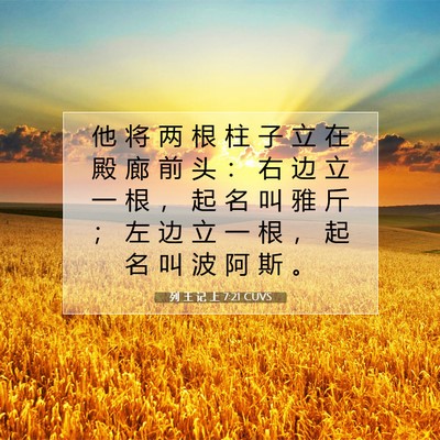 Picture 07 - 列 王 记 上 7:21 CUVS - 他 将 两 根 柱 子 立 在 殿 廊 前 头 - Bible Verse Picture