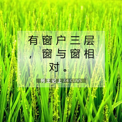 Picture 07 - 列 王 记 上 7:4 CUVS - 有 窗 户 三 层 ， 窗 与 窗 相 对 - Bible Verse Picture