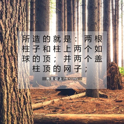 Picture 07 - 列 王 记 上 7:41 CUVS - 所 造 的 就 是 ： 两 根 柱 子 和 柱 - Bible Verse Picture