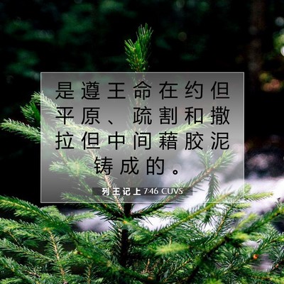Picture 07 - 列 王 记 上 7:46 CUVS - 是 遵 王 命 在 约 但 平 原 、 疏 割 - Bible Verse Picture