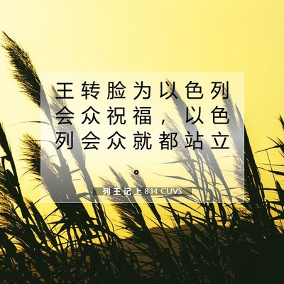 Picture 07 - 列 王 记 上 8:14 CUVS - 王 转 脸 为 以 色 列 会 众 祝 福 ， - Bible Verse Picture