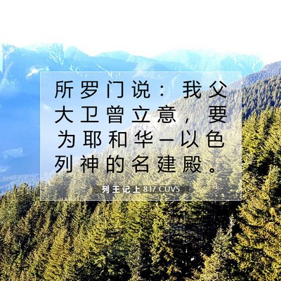 Picture 07 - 列 王 记 上 8:17 CUVS - 所 罗 门 说 ： 我 父 大 卫 曾 立 意 - Bible Verse Picture