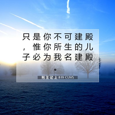 Picture 07 - 列 王 记 上 8:19 CUVS - 只 是 你 不 可 建 殿 ， 惟 你 所 生 - Bible Verse Picture