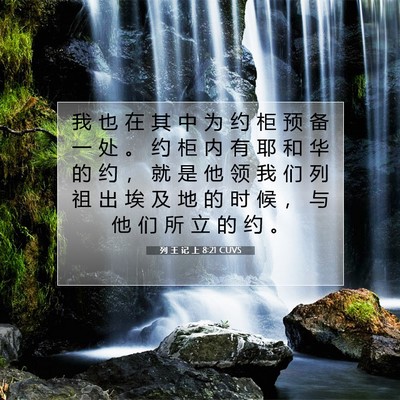 Picture 07 - 列 王 记 上 8:21 CUVS - 我 也 在 其 中 为 约 柜 预 备 一 处 - Bible Verse Picture