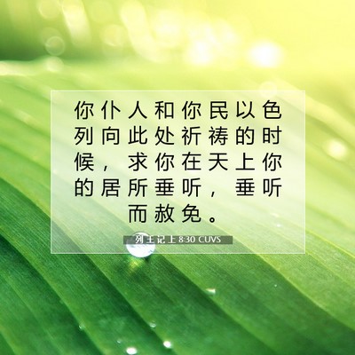 Picture 07 - 列 王 记 上 8:30 CUVS - 你 仆 人 和 你 民 以 色 列 向 此 处 - Bible Verse Picture