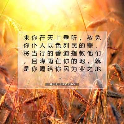 Picture 07 - 列 王 记 上 8:36 CUVS - 求 你 在 天 上 垂 听 ， 赦 免 你 仆 - Bible Verse Picture