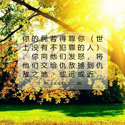 Picture 07 - 列 王 记 上 8:46 CUVS - 你 的 民 若 得 罪 你 （ 世 上 没 有 - Bible Verse Picture