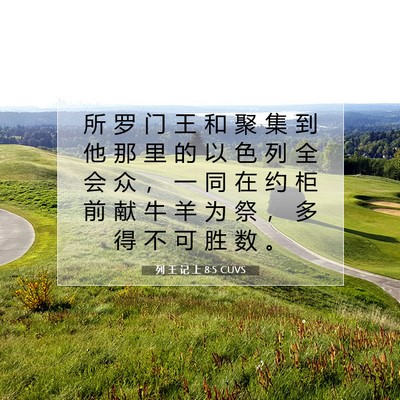 Picture 07 - 列 王 记 上 8:5 CUVS - 所 罗 门 王 和 聚 集 到 他 那 里 的 - Bible Verse Picture