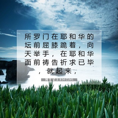 Picture 07 - 列 王 记 上 8:54 CUVS - 所 罗 门 在 耶 和 华 的 坛 前 屈 膝 - Bible Verse Picture
