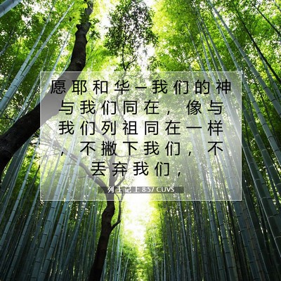 Picture 07 - 列 王 记 上 8:57 CUVS - 愿 耶 和 华 ─ 我 们 的 神 与 我 们 - Bible Verse Picture