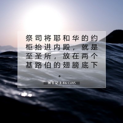 Picture 07 - 列 王 记 上 8:6 CUVS - 祭 司 将 耶 和 华 的 约 柜 抬 进 内 - Bible Verse Picture