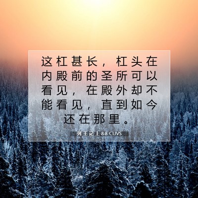 Picture 07 - 列 王 记 上 8:8 CUVS - 这 杠 甚 长 ， 杠 头 在 内 殿 前 的 - Bible Verse Picture