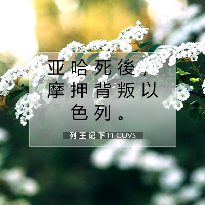 Picture 07 - 列 王 记 下 1:1 CUVS - 亚 哈 死 後 ， 摩 押 背 叛 以 色 列 - Bible Verse Picture