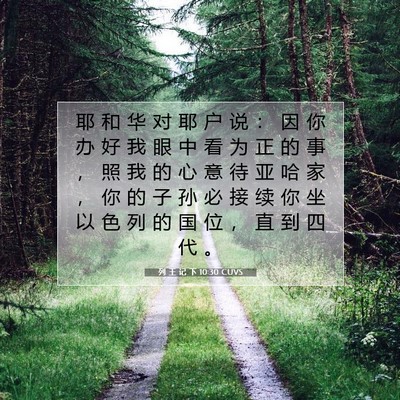 Picture 07 - 列 王 记 下 10:30 CUVS - 耶 和 华 对 耶 户 说 ： 因 你 办 好 - Bible Verse Picture