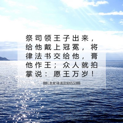 Picture 07 - 列 王 记 下 11:12 CUVS - 祭 司 领 王 子 出 来 ， 给 他 戴 上 - Bible Verse Picture