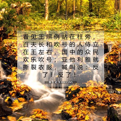 Picture 07 - 列 王 记 下 11:14 CUVS - 看 见 王 照 例 站 在 柱 旁 ， 百 夫 - Bible Verse Picture