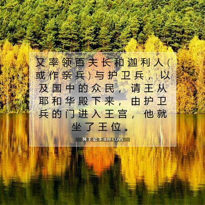 Picture 07 - 列 王 记 下 11:19 CUVS - 又 率 领 百 夫 长 和 迦 利 人 ( 或 作 - Bible Verse Picture