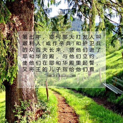 Picture 07 - 列 王 记 下 11:4 CUVS - 第 七 年 ， 耶 何 耶 大 打 发 人 叫 - Bible Verse Picture