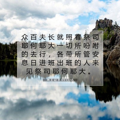 Picture 07 - 列 王 记 下 11:9 CUVS - 众 百 夫 长 就 照 着 祭 司 耶 何 耶 - Bible Verse Picture