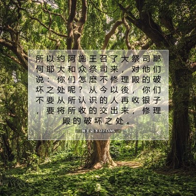 Picture 07 - 列 王 记 下 12:7 CUVS - 所 以 约 阿 施 王 召 了 大 祭 司 耶 - Bible Verse Picture