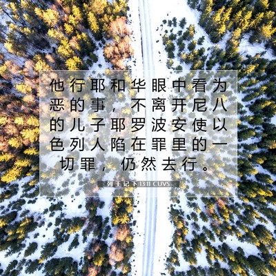 Picture 07 - 列 王 记 下 13:11 CUVS - 他 行 耶 和 华 眼 中 看 为 恶 的 事 - Bible Verse Picture
