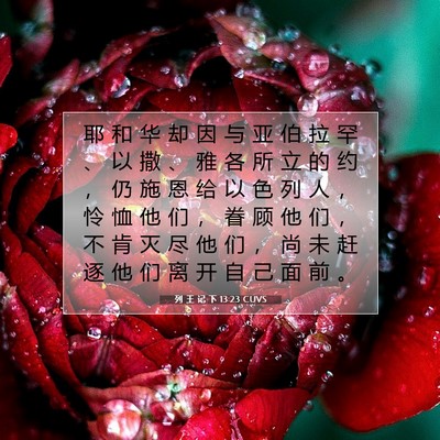 Picture 07 - 列 王 记 下 13:23 CUVS - 耶 和 华 却 因 与 亚 伯 拉 罕 、 以 - Bible Verse Picture