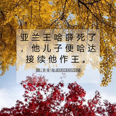 Picture 07 - 列 王 记 下 13:24 CUVS - 亚 兰 王 哈 薛 死 了 ， 他 儿 子 便 - Bible Verse Picture