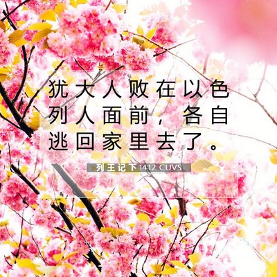 Picture 07 - 列 王 记 下 14:12 CUVS - 犹 大 人 败 在 以 色 列 人 面 前 ， - Bible Verse Picture