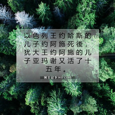 Picture 07 - 列 王 记 下 14:17 CUVS - 以 色 列 王 约 哈 斯 的 儿 子 约 阿 - Bible Verse Picture