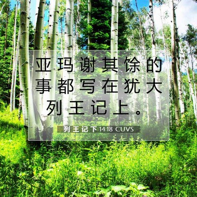 Picture 07 - 列 王 记 下 14:18 CUVS - 亚 玛 谢 其 馀 的 事 都 写 在 犹 大 - Bible Verse Picture