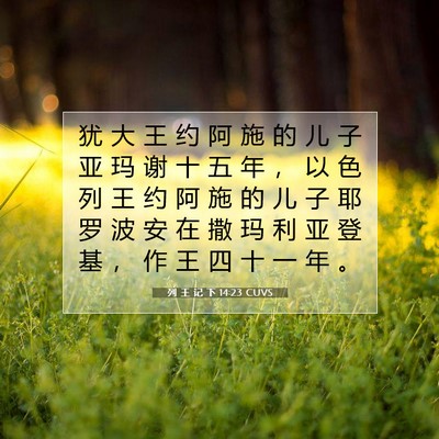 Picture 07 - 列 王 记 下 14:23 CUVS - 犹 大 王 约 阿 施 的 儿 子 亚 玛 谢 - Bible Verse Picture