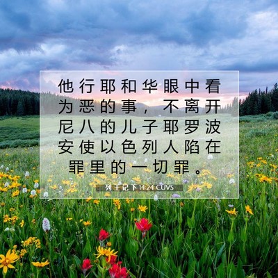 Picture 07 - 列 王 记 下 14:24 CUVS - 他 行 耶 和 华 眼 中 看 为 恶 的 事 - Bible Verse Picture