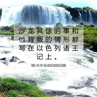 Picture 07 - 列 王 记 下 15:15 CUVS - 沙 龙 其 馀 的 事 和 他 背 叛 的 情 - Bible Verse Picture