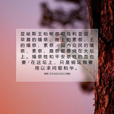 Picture 07 - 列 王 记 下 16:15 CUVS - 亚 哈 斯 王 吩 咐 祭 司 乌 利 亚 说 - Bible Verse Picture