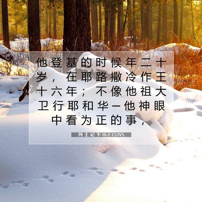 Picture 07 - 列 王 记 下 16:2 CUVS - 他 登 基 的 时 候 年 二 十 岁 ， 在 - Bible Verse Picture