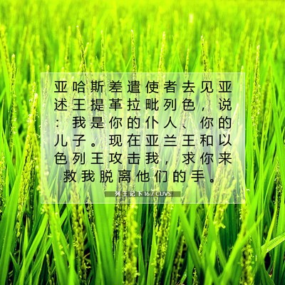 Picture 07 - 列 王 记 下 16:7 CUVS - 亚 哈 斯 差 遣 使 者 去 见 亚 述 王 - Bible Verse Picture