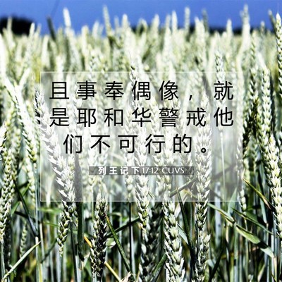 Picture 07 - 列 王 记 下 17:12 CUVS - 且 事 奉 偶 像 ， 就 是 耶 和 华 警 - Bible Verse Picture