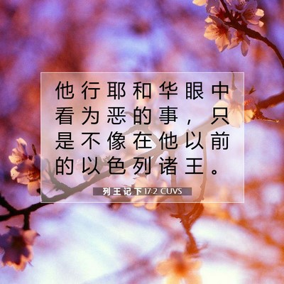Picture 07 - 列 王 记 下 17:2 CUVS - 他 行 耶 和 华 眼 中 看 为 恶 的 事 - Bible Verse Picture